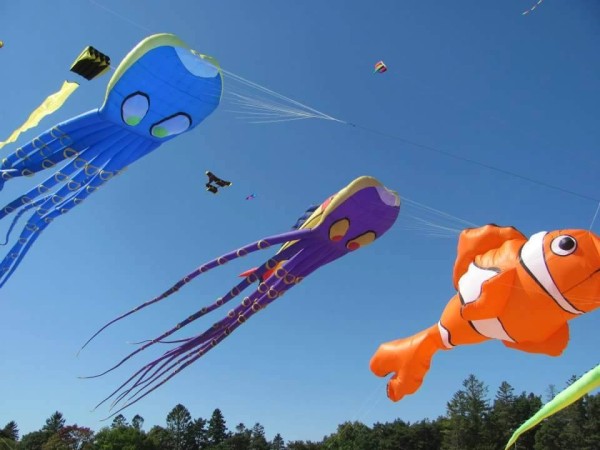 Kites Over Lake Michigan Two Rivers