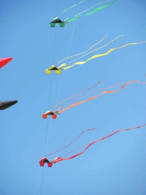 Kites Over Lake Michigan Two Rivers