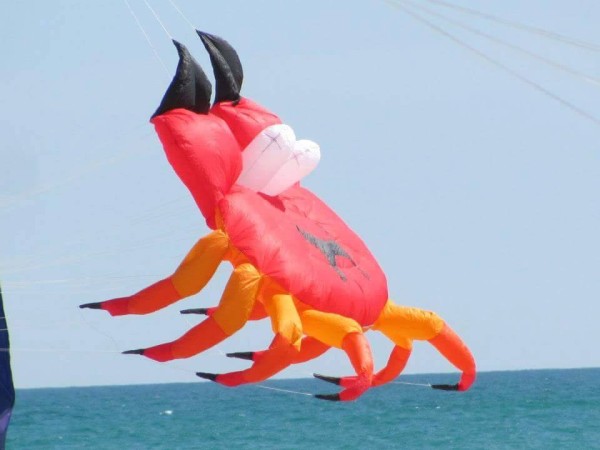 Kites Over Lake Michigan Two Rivers