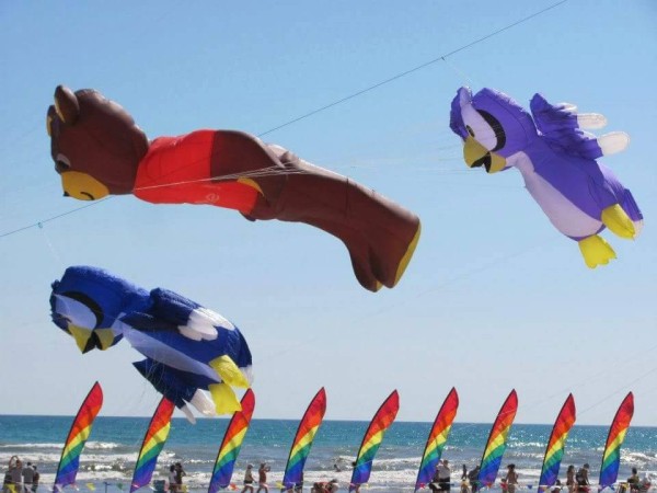 Kites Over Lake Michigan Two Rivers