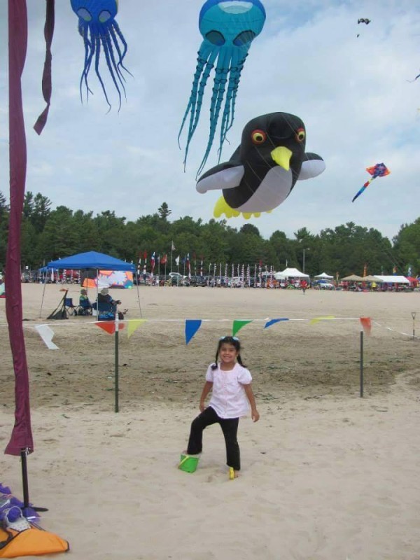 Kites Over Lake Michigan Two Rivers