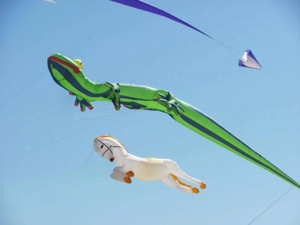 Kites Over Lake Michigan Two Rivers