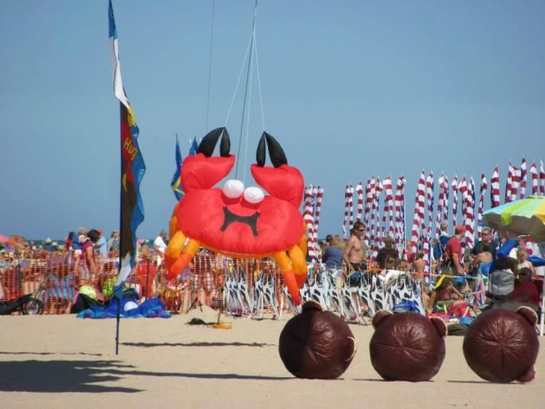 Kites Over Lake Michigan Two Rivers