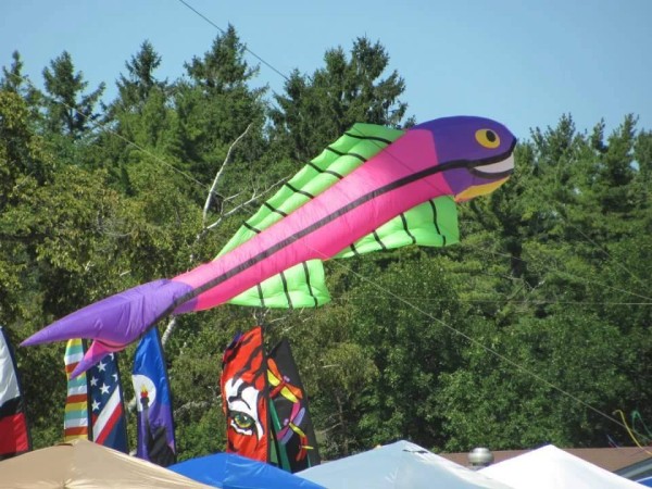 Kites Over Lake Michigan Two Rivers