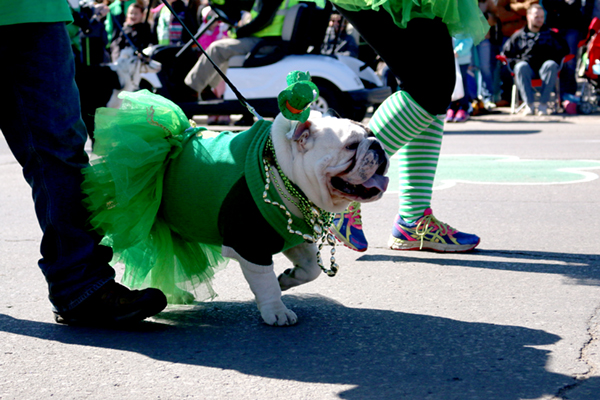 Why no Manitowoc St. Patrick's Day Parade in 2023: About the holiday