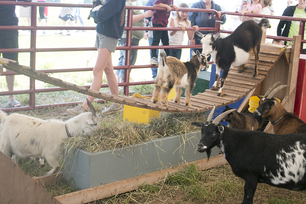 Where to Find 2022 Breakfasts on the Farm in Northeast Wisconsin!