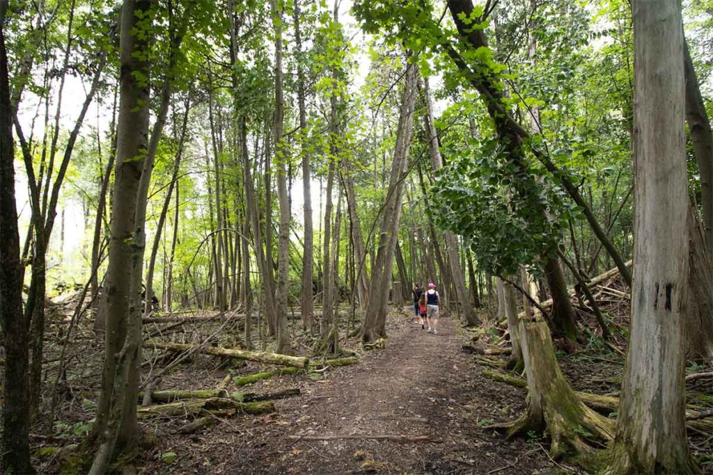 Buboltz Nature Preserve