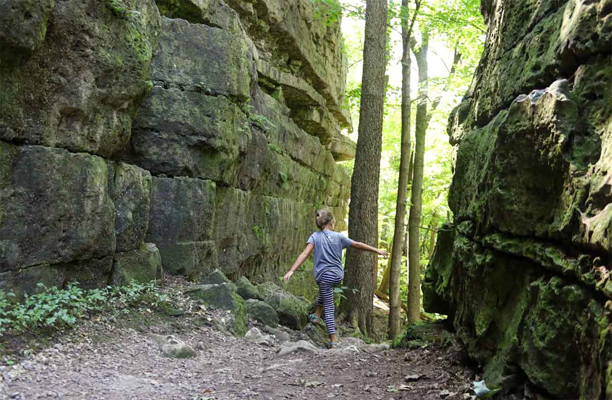 are dogs allowed in state parks in wi