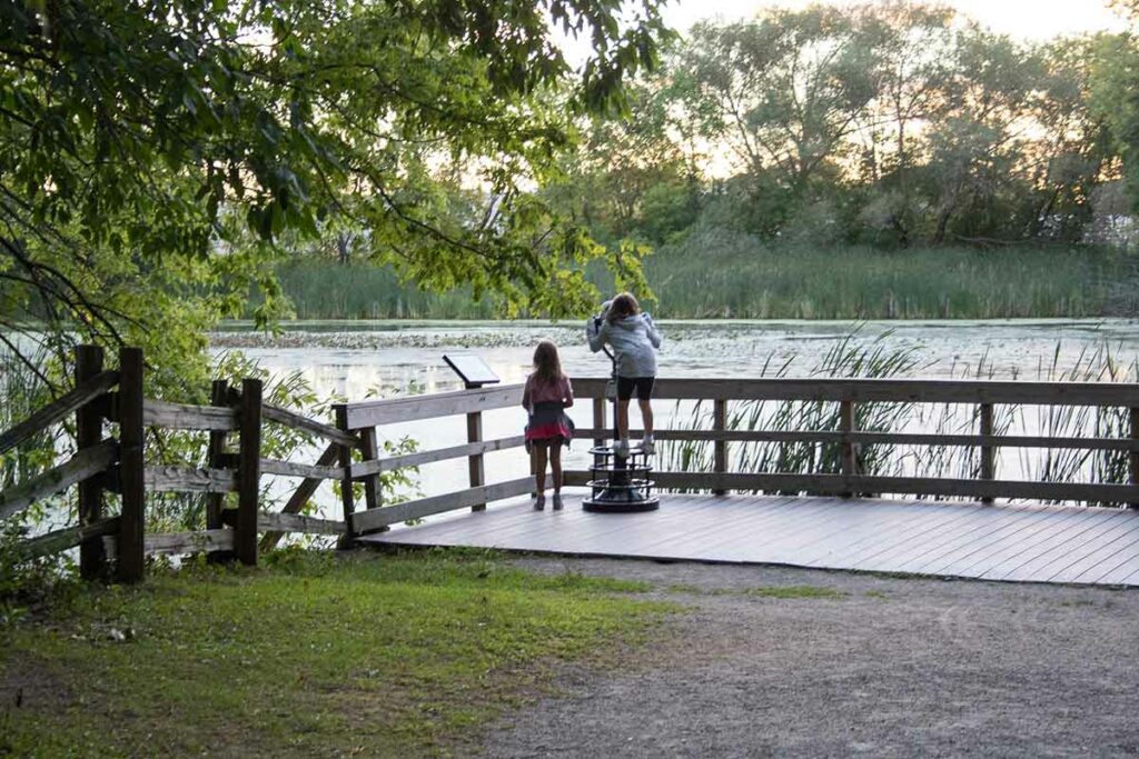 Heckrodt Wetland Reserve