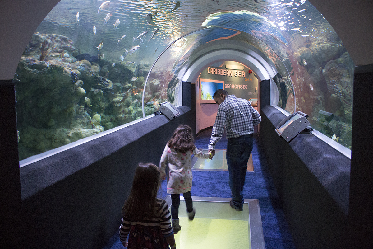 Discovery World Milwaukee