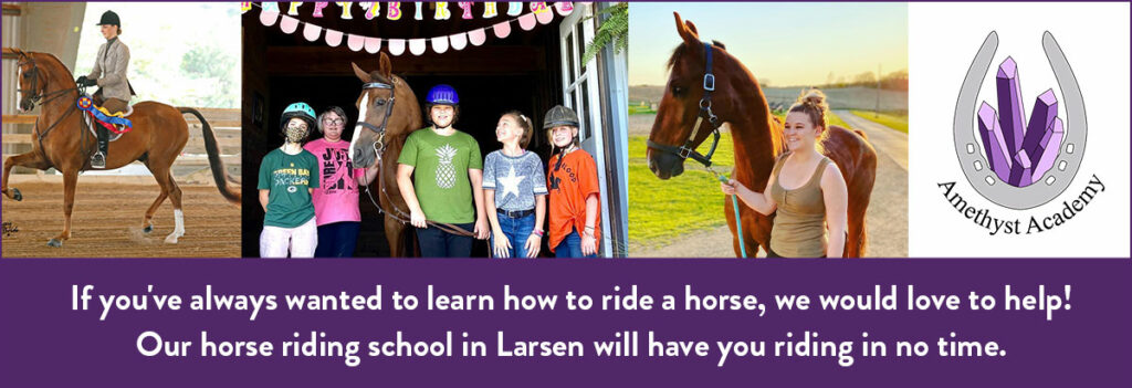 Amethyst Academy Horseback Riding Lessons