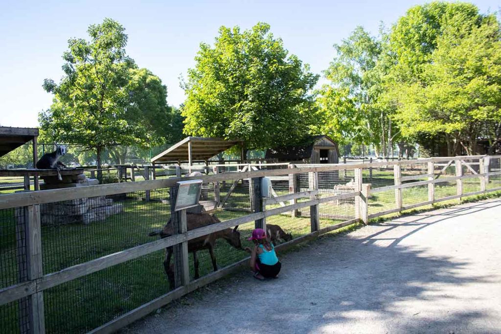 Playground, Beach and Animals at Menominee Park and Zoo in Oshkosh!