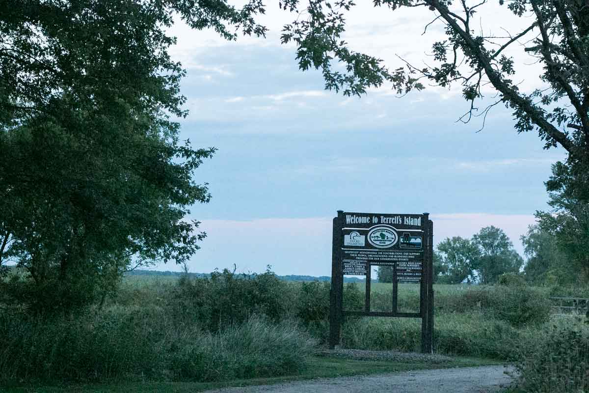 Terrell's Island