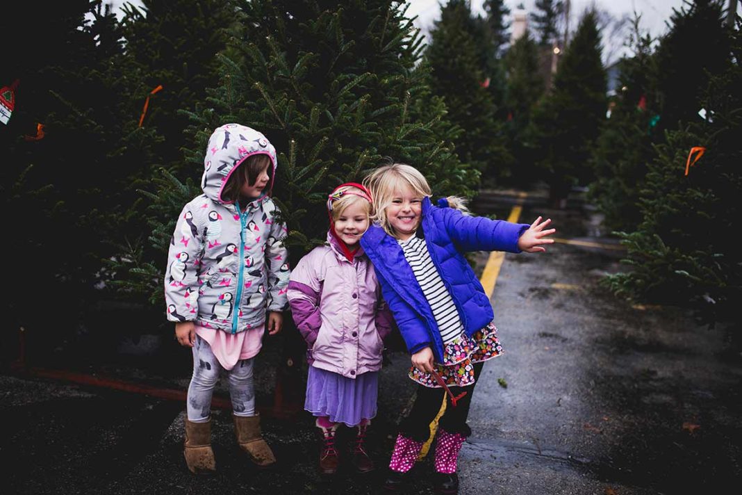 5+ Magical Christmas Tree Farms in Northeast Wisconsin