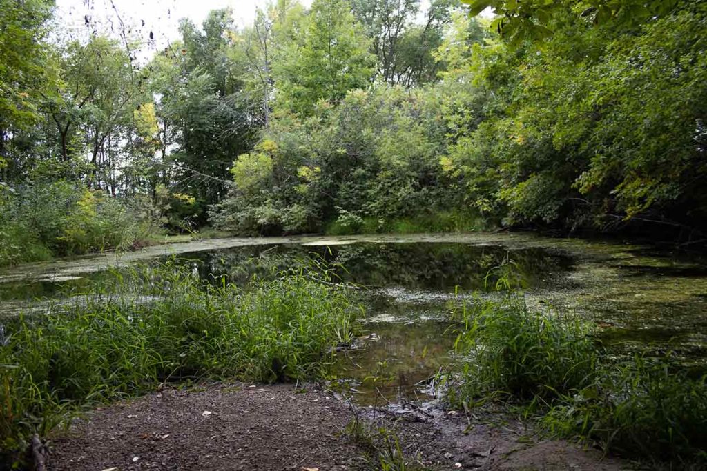 Hidden Pond Park Menasha