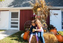 Wisconsin Corn Mazes | Go Valley Kids Fall Guide