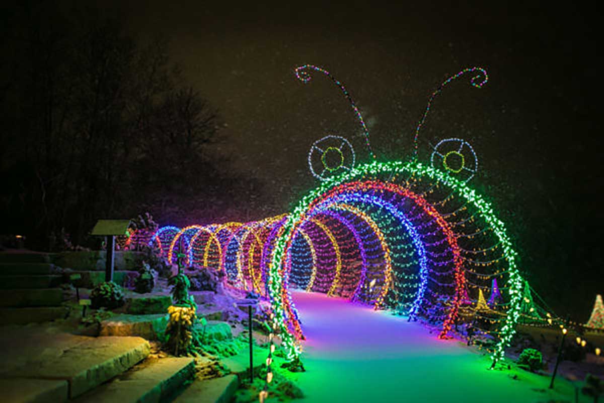 Green Bay Botanical Gardens Wps Garden Of Lights Fasci Garden