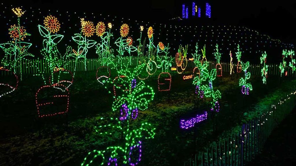 Garden of Lights Green Bay