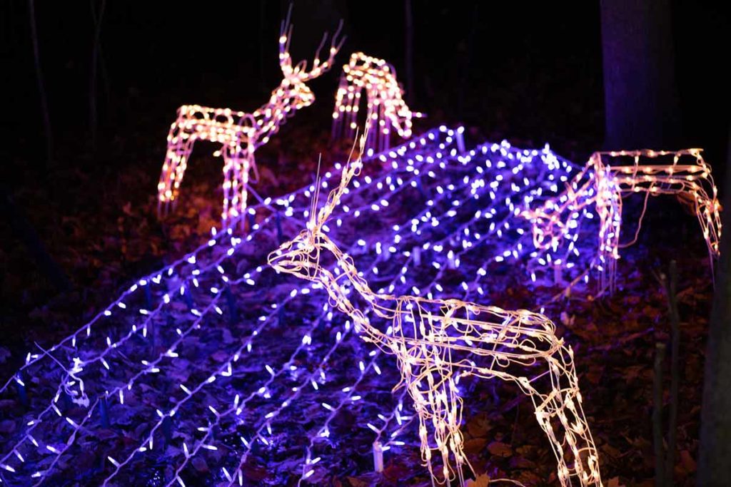 Fox Cities' First Community Holiday Light Display in the Woods