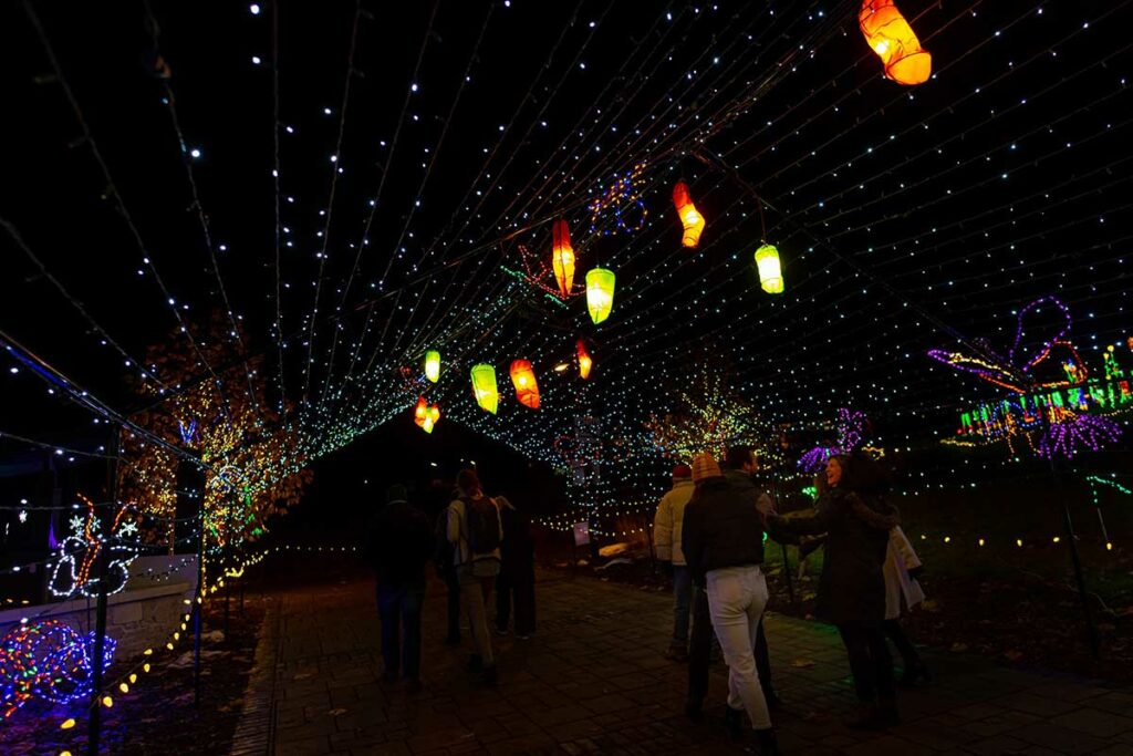 christmas lights walk through at Green bay botanical garden