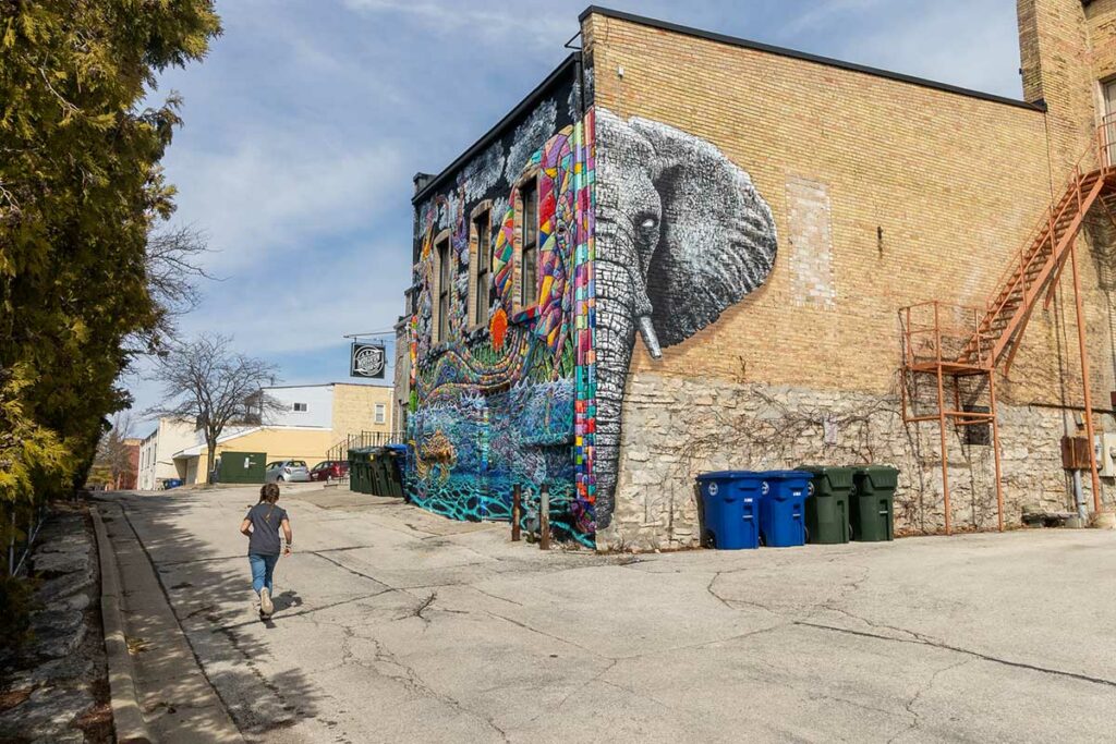 Elephant Mural by Andrew Linskens De Pere Wisconsin