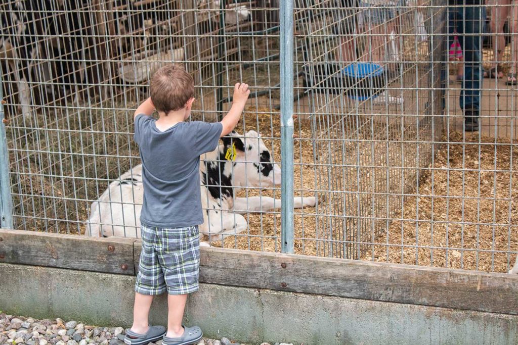 Breakfast on the Farm in Wisconsin 7 Charming Options for 2023!