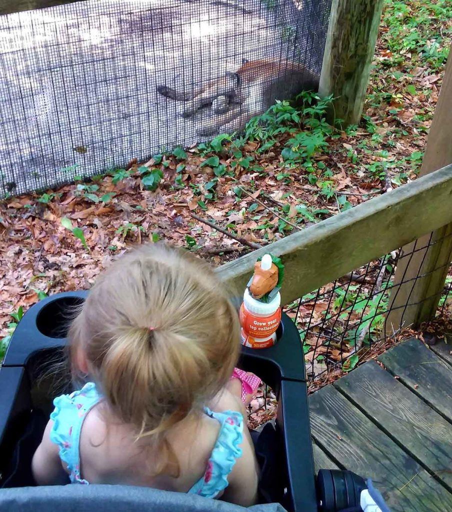 Lincoln Park Zoo Manitowoc