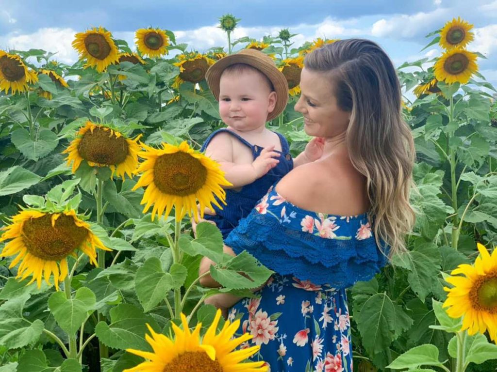 Bergsbaken Farms Sunflower Farms Cecil