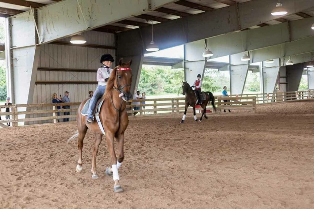 Morgan Masterpiece Charity Horse Show in Oshkosh