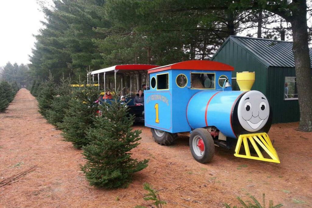 Holiday Creek Christmas Tree Farm, Plover