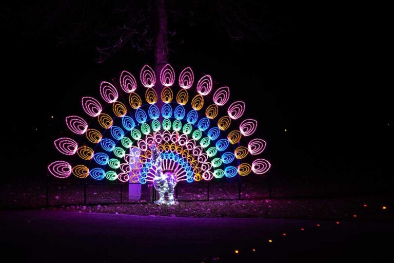 Brown County Fairgrounds Christmas Light Display