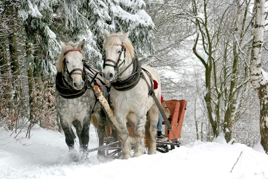 wisconsin horse sleigh rides