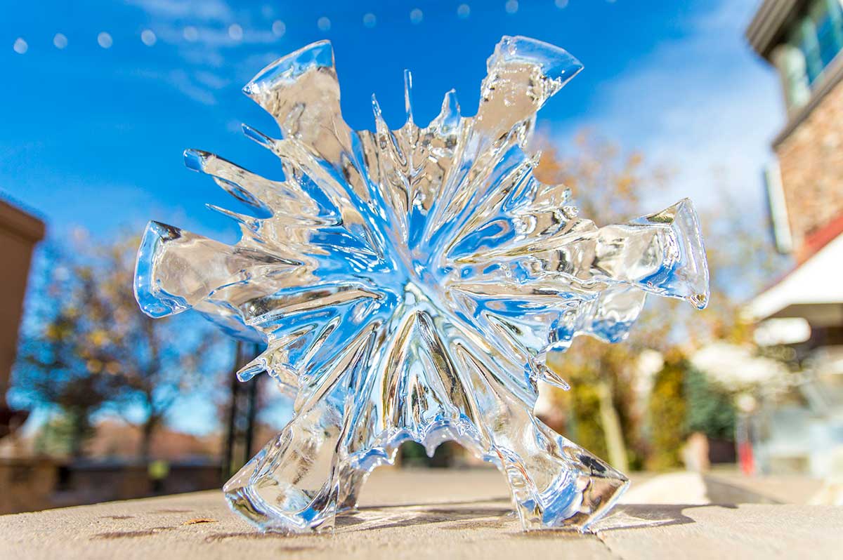 Appleton Ice Sculptures