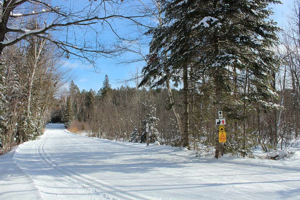 Snow covered trail at Minocqua Winter Park in Wisconsin.