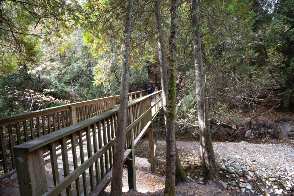 Hiking nature trails at Lions Den Grafton