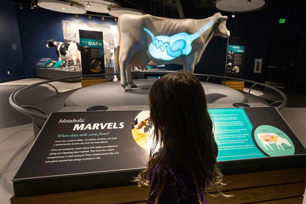 Kids learning about cows at Farm Wisconsin Discovery Center in Manitowoc