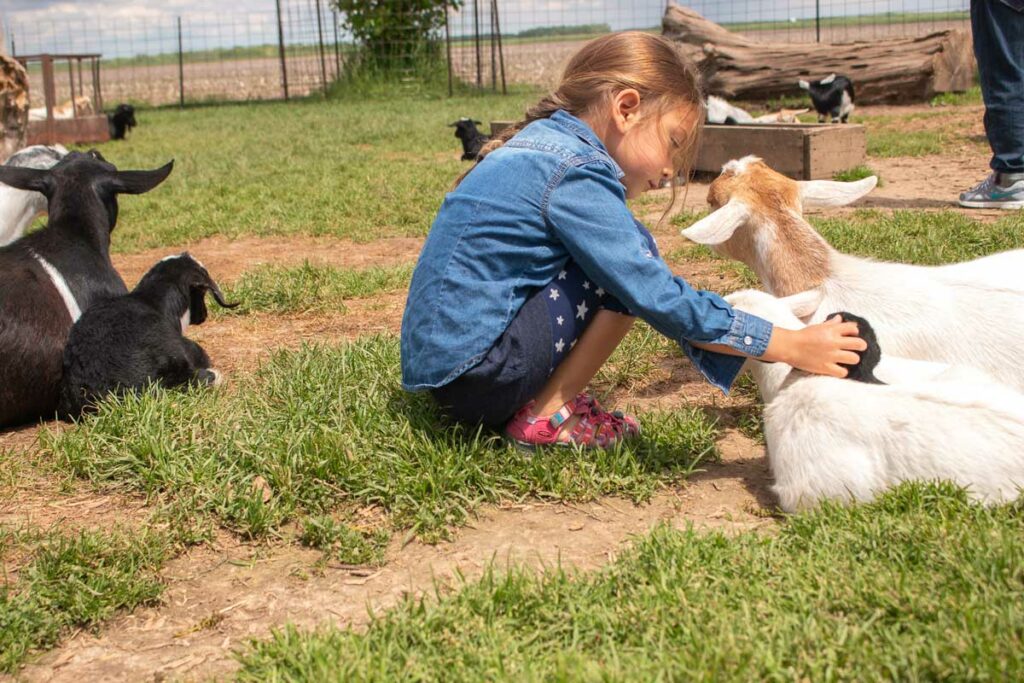 Mulberry Lane Farm Sherwood Hilbert