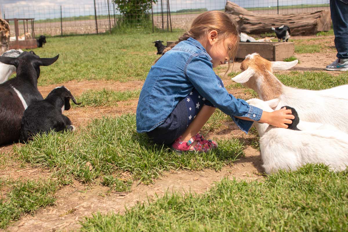 15+ Petting Zoos & Farms near the Fox Cities for Animal Lovers!