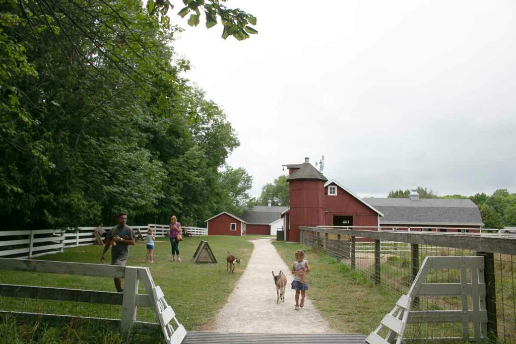 the farm sturgeon bay