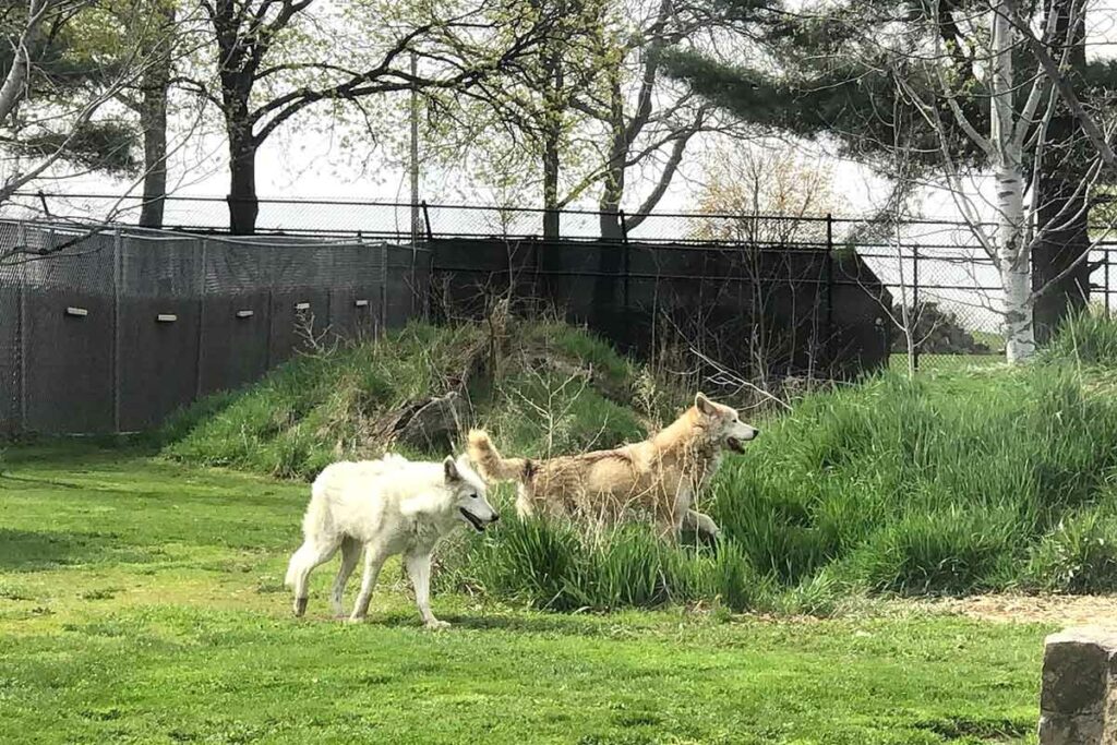 Ochsner Park Zoo Baraboo WI