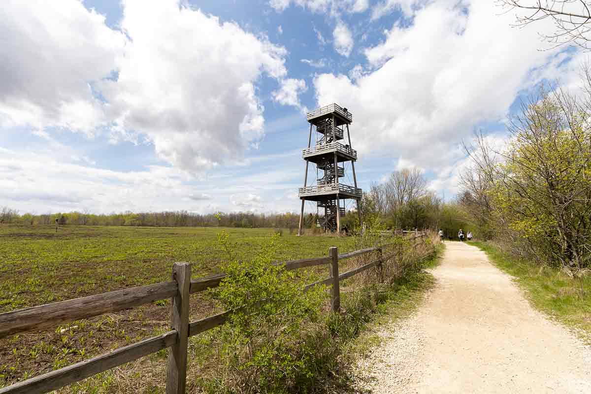 observation tower at Ledge View Nature Center Chilton