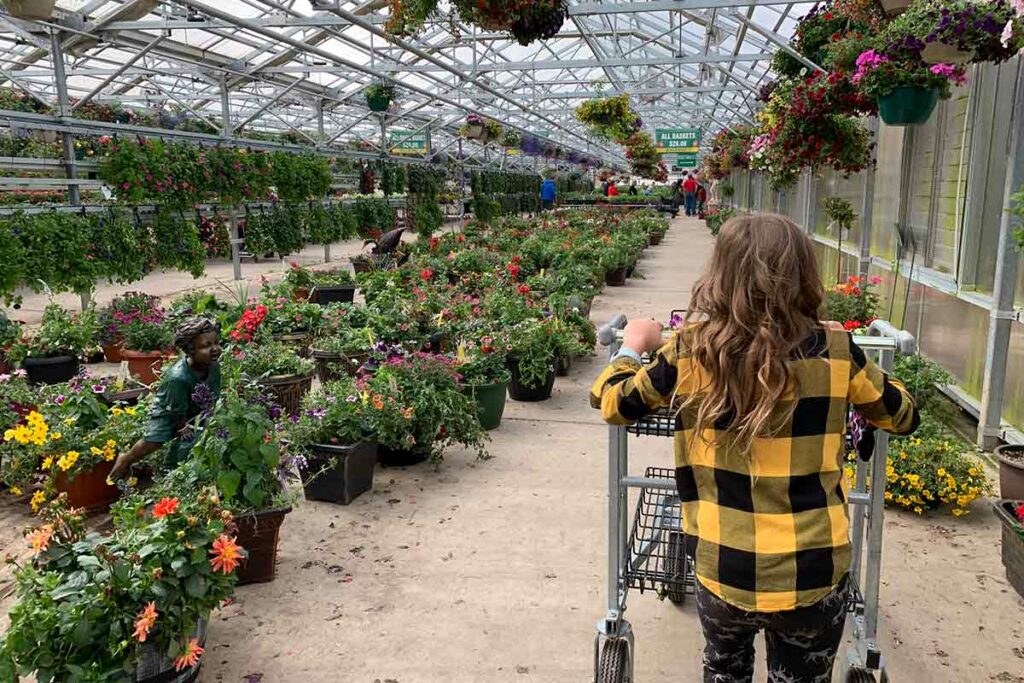 Honeymoon Acres Greenhouse