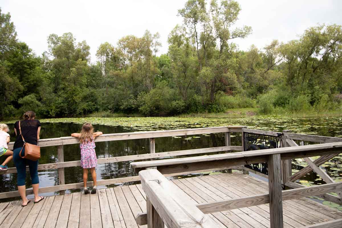 turtle pond at Bubolz Nature Center in Appleton