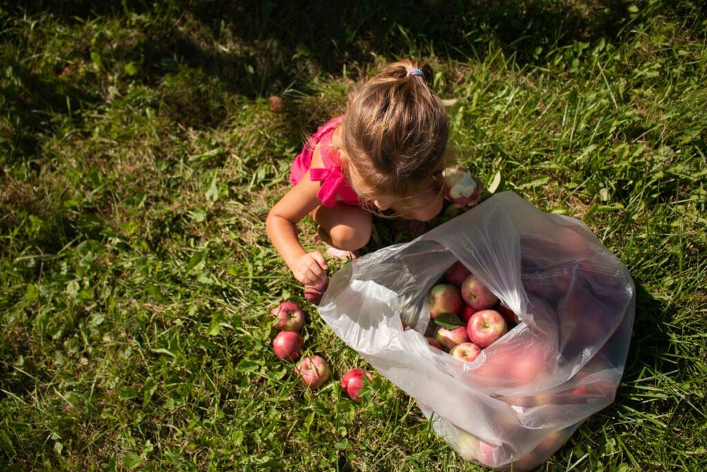 Star Orchard Apples Kaukauna