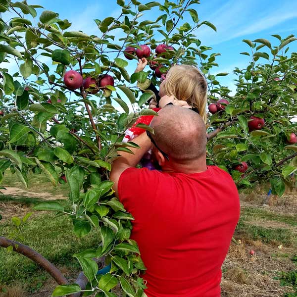 families picking apples at Star Orchard Apples in Kaukauna