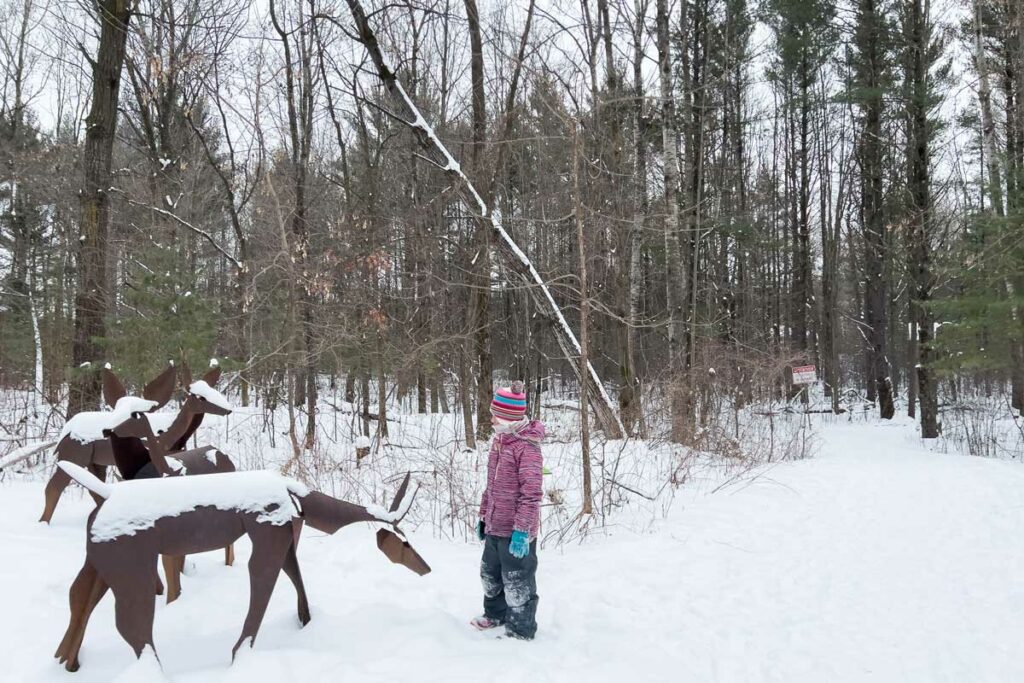 Winter Deer Art at Stevens Point Sculpture Park