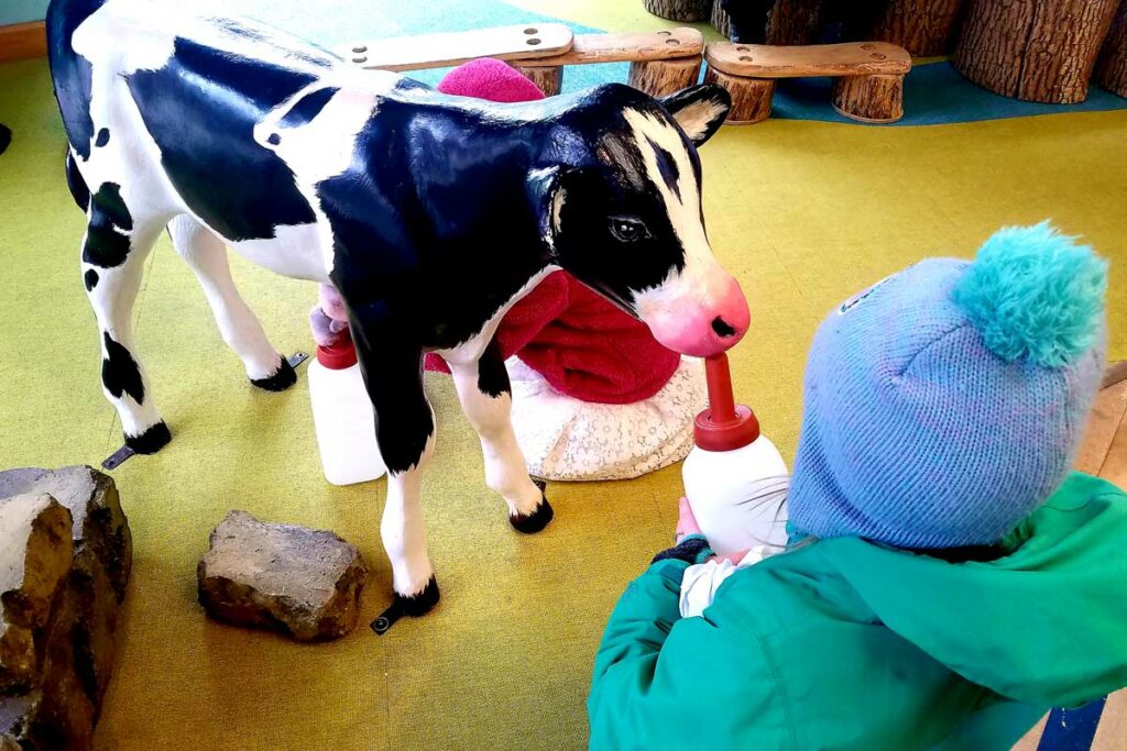 Feeding Calf at Madison Childrens Museum