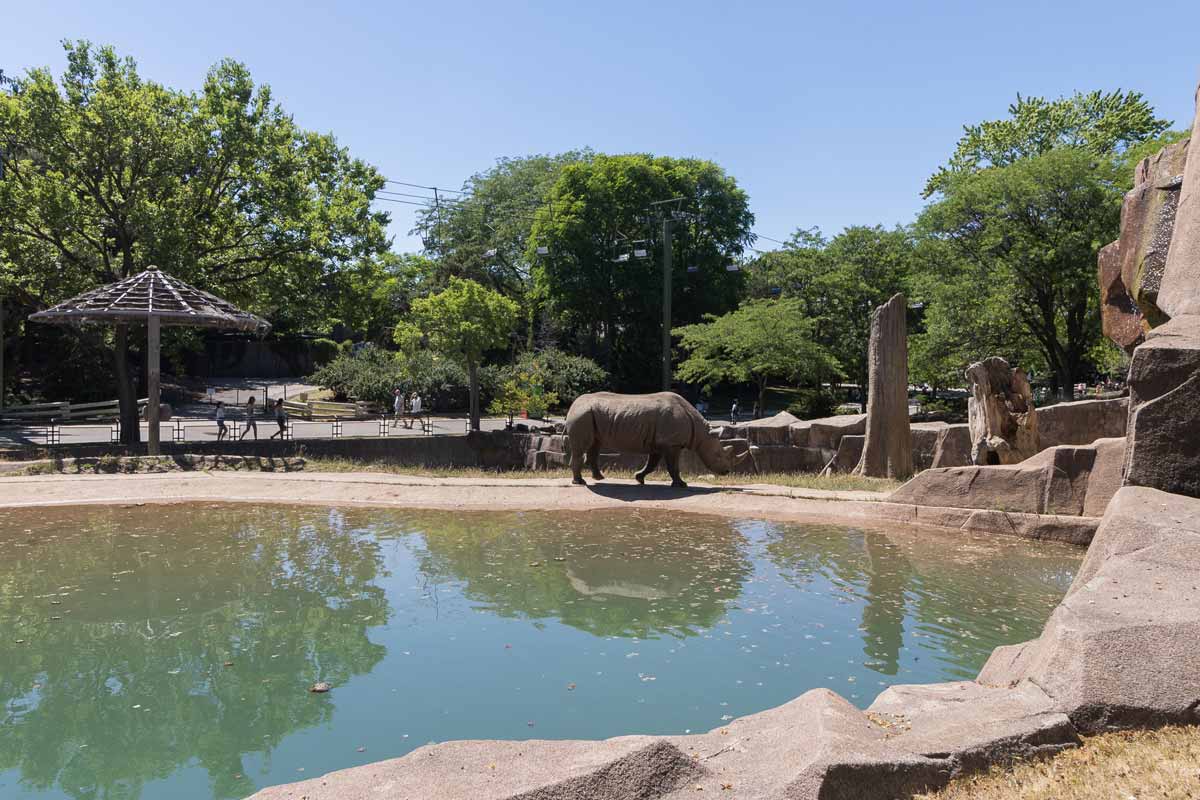 Visiting Milwaukee Zoo with Kids? Here is What you Need to Know!