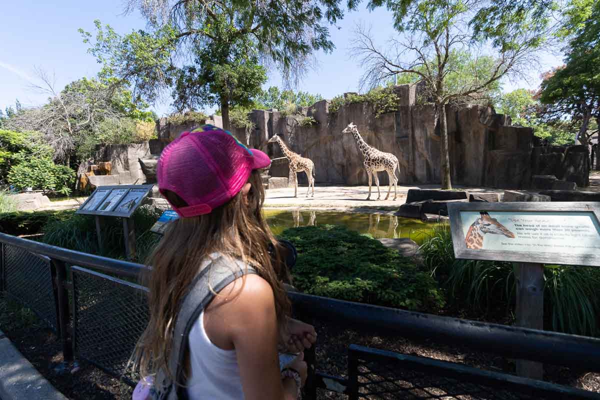 Visiting Milwaukee Zoo with Kids? Here is What you Need to Know!