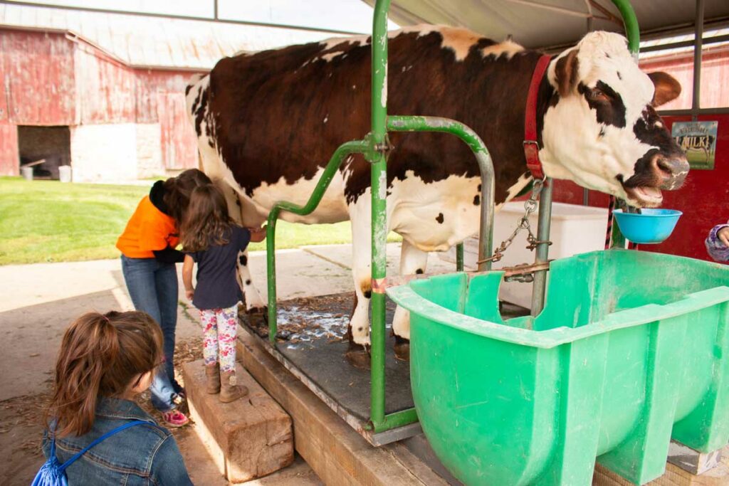 Mulberry Lane Farm Hilbert